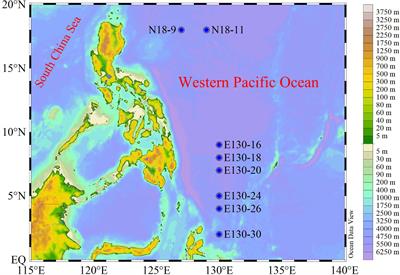 Physiological and Ecological Responses of Photosynthetic Processes to Oceanic Properties and Phytoplankton Communities in the Oligotrophic Western Pacific Ocean